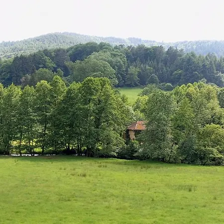 Haus Am Knopf アパート