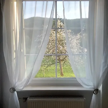 Haus Am Knopf アパート Bobenthal